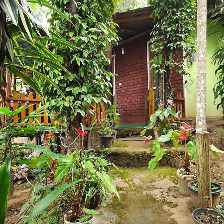 Green Heaven Lodge إيلا المظهر الخارجي الصورة