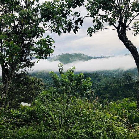 Green Heaven Lodge إيلا المظهر الخارجي الصورة