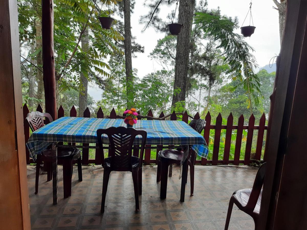 Green Heaven Lodge إيلا المظهر الخارجي الصورة