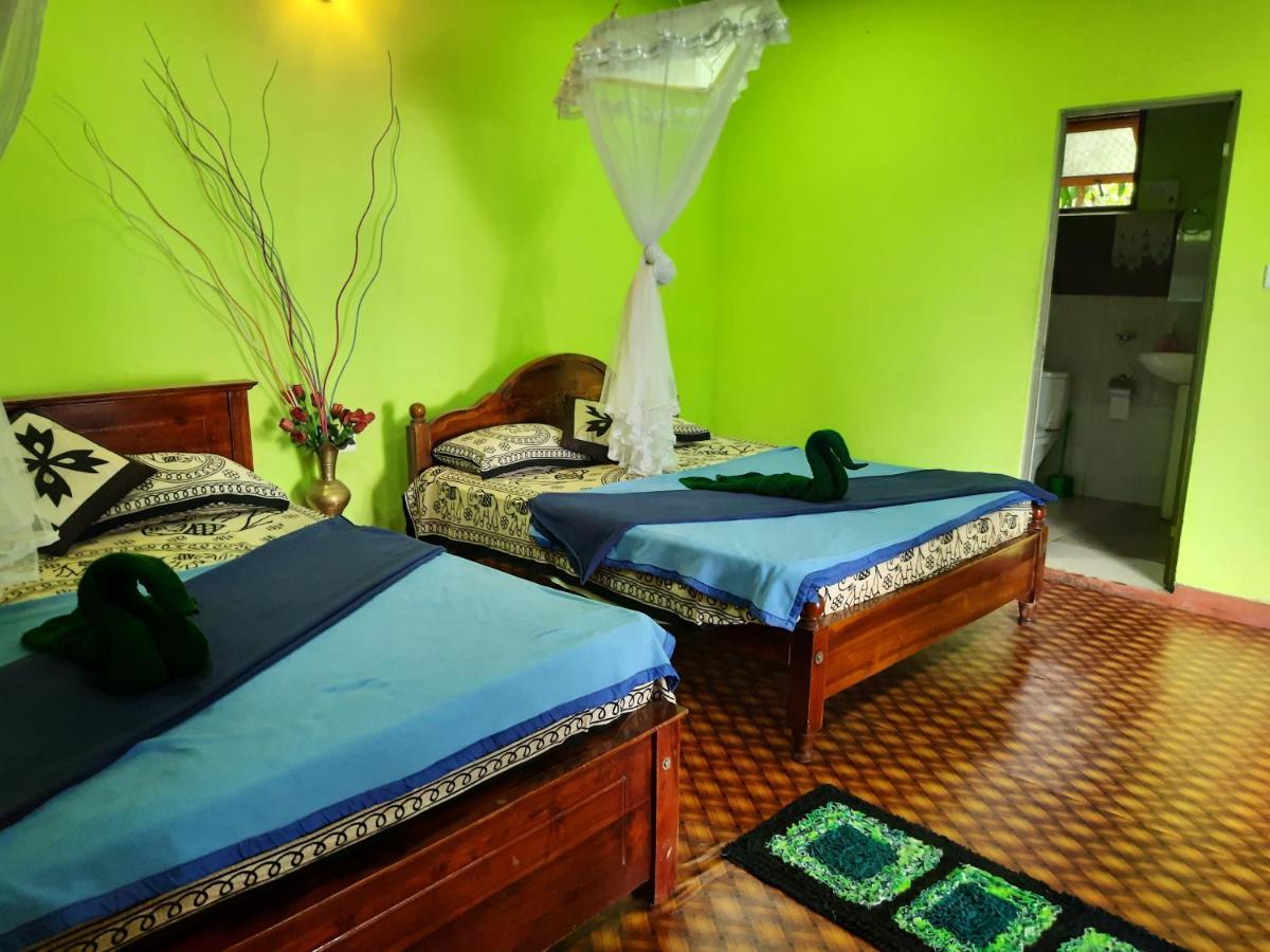 Green Heaven Lodge إيلا المظهر الخارجي الصورة