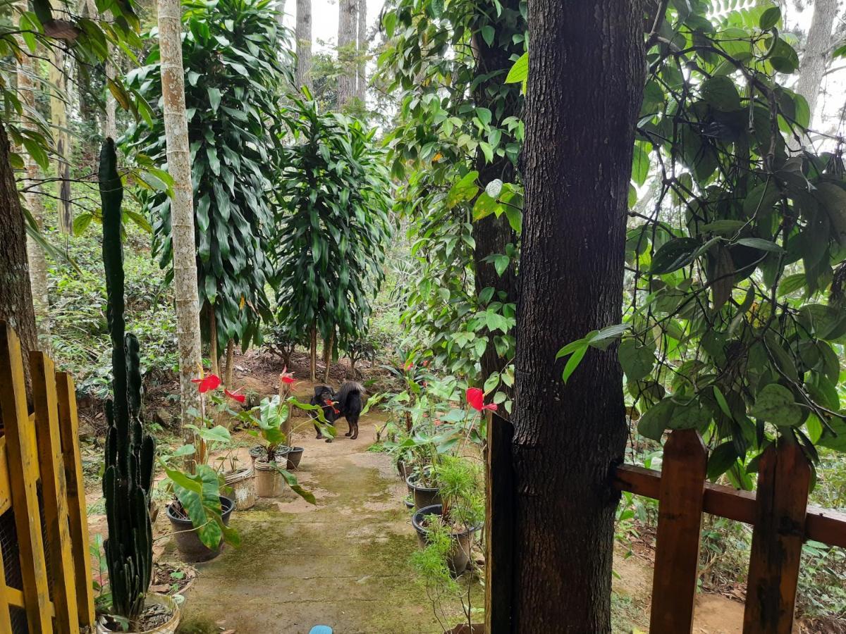 Green Heaven Lodge إيلا المظهر الخارجي الصورة