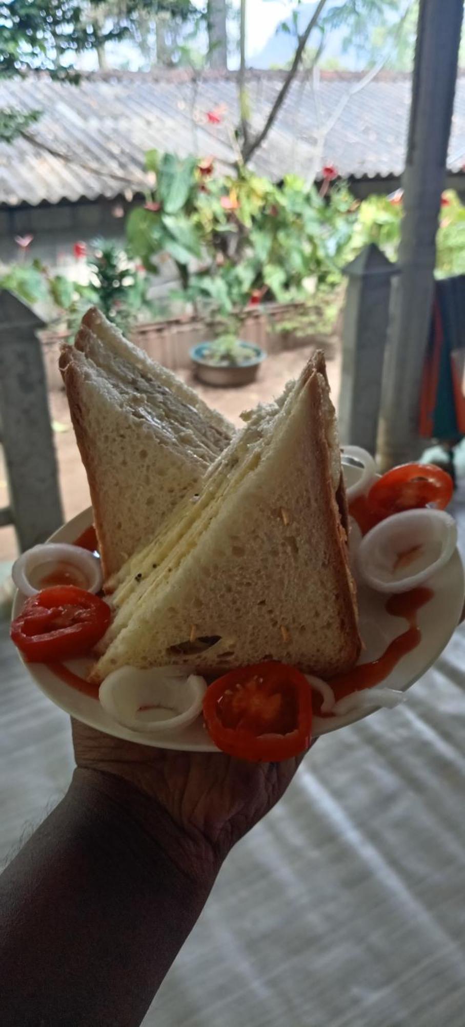 Green Heaven Lodge إيلا المظهر الخارجي الصورة
