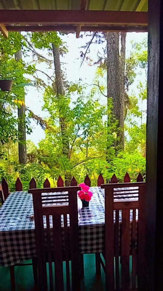 Green Heaven Lodge إيلا المظهر الخارجي الصورة