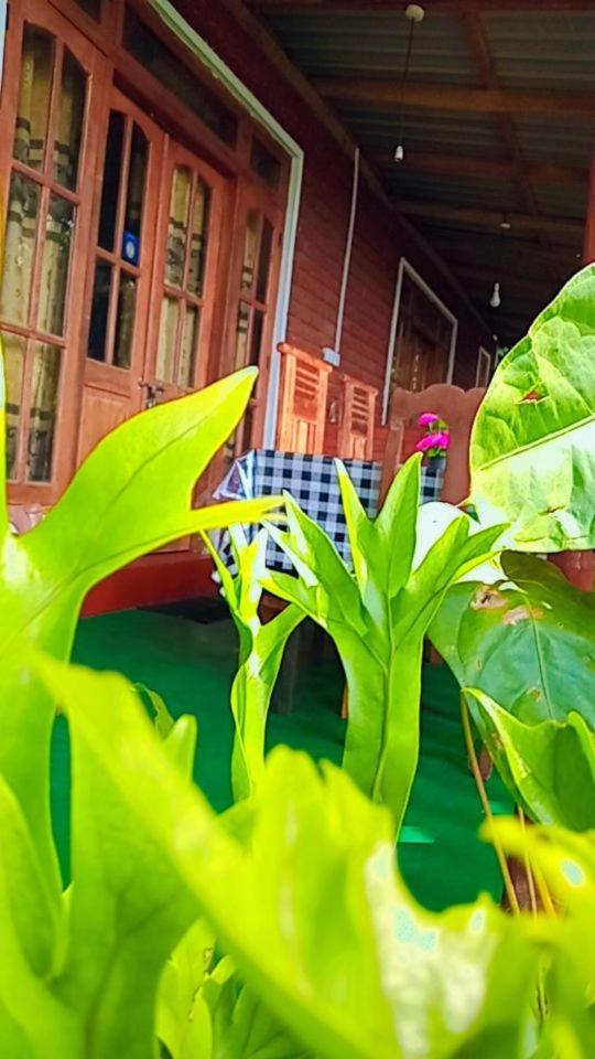 Green Heaven Lodge إيلا المظهر الخارجي الصورة