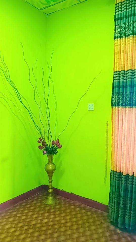 Green Heaven Lodge إيلا المظهر الخارجي الصورة
