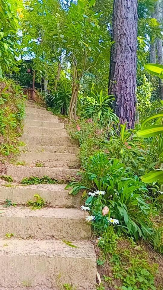 Green Heaven Lodge إيلا المظهر الخارجي الصورة