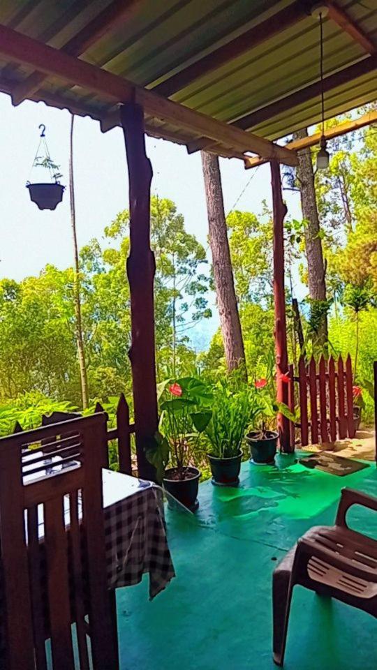 Green Heaven Lodge إيلا المظهر الخارجي الصورة