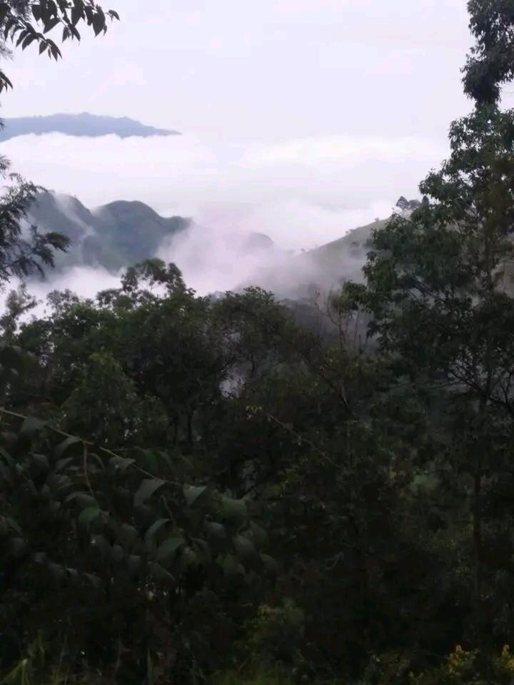 Green Heaven Lodge إيلا المظهر الخارجي الصورة