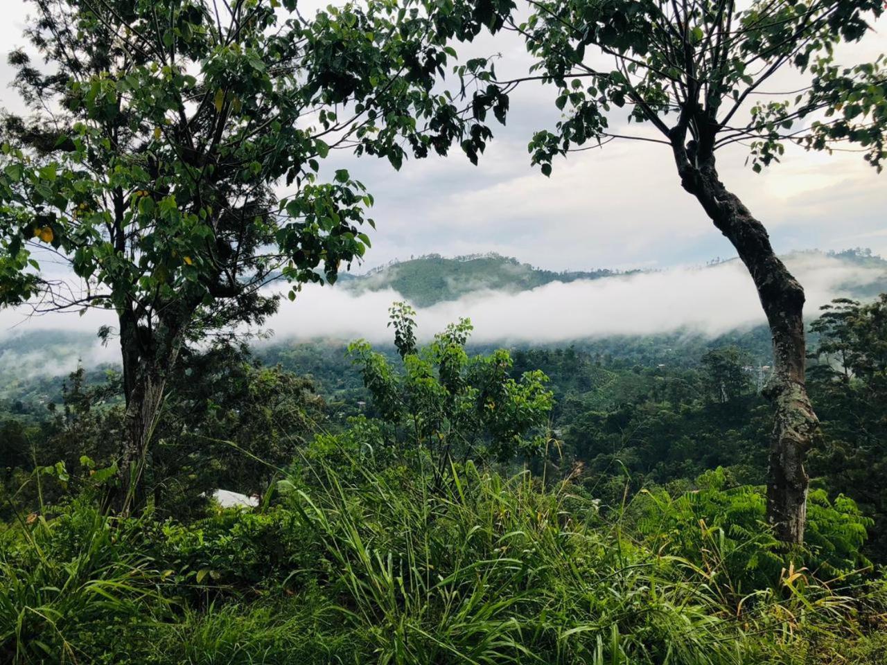 Green Heaven Lodge إيلا المظهر الخارجي الصورة