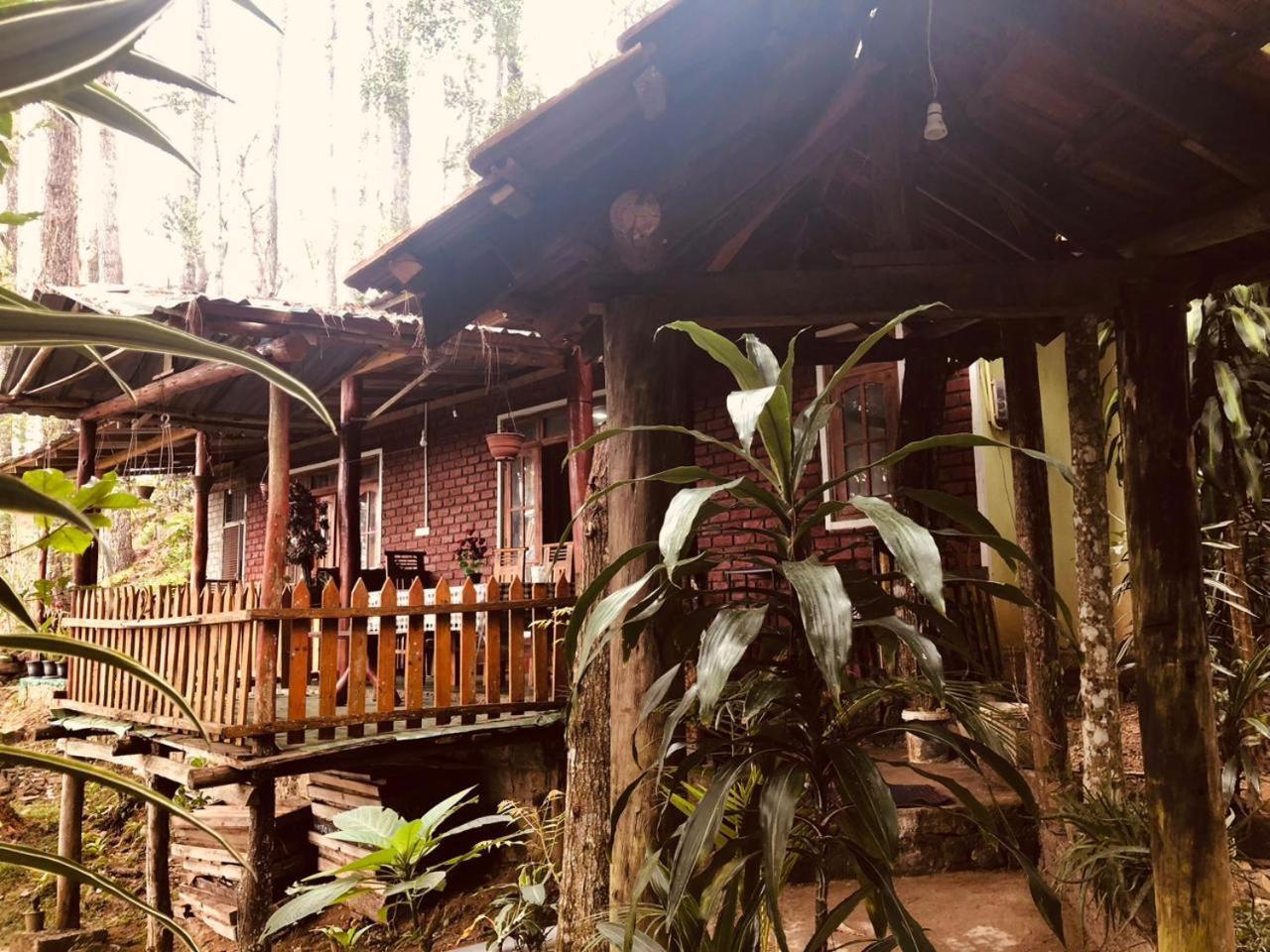 Green Heaven Lodge إيلا المظهر الخارجي الصورة