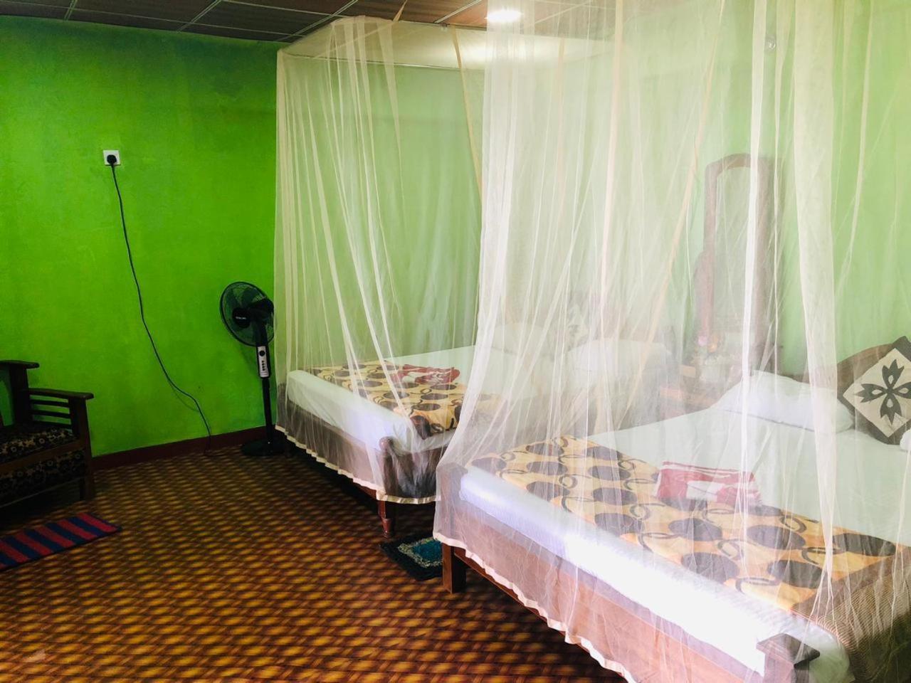Green Heaven Lodge إيلا المظهر الخارجي الصورة